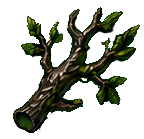 Leshy Branch